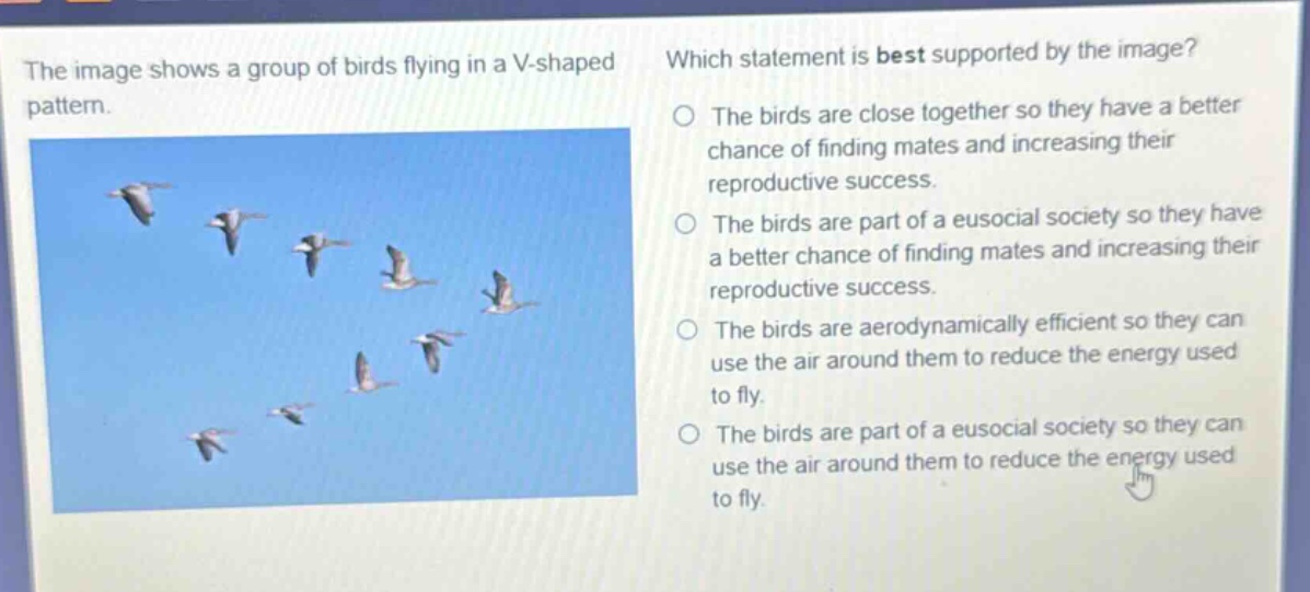 the image shows a group of birds flying in a v - shaped pattern. which statement is best supported by the image? the birds are close together so they have a better chance of finding mates and increasing their reproductive success. the birds are part of a eusocial society so they have a better chance of finding mates and increasing their reproductive success. the birds are aerodynamically efficient so they can use the air around them to reduce the energy used to fly. the birds are part of a eusocial society so they can use the air around them to reduce the energy used to fly.