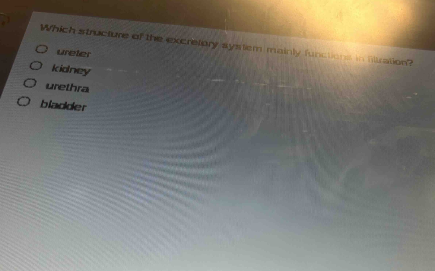 which structure of the excretory system mainly functions in filtration?\nureter\nkidney\nurethra\nbladder