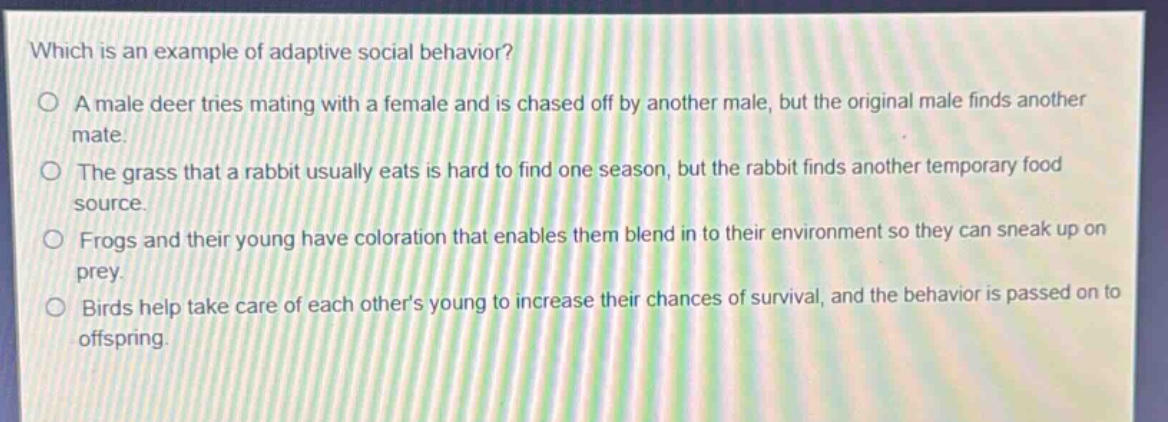 which is an example of adaptive social behavior?\na male deer tries mating with a female and is chased off by another male, but the original male finds another mate.\nthe grass that a rabbit usually eats is hard to find one season, but the rabbit finds another temporary food source.\nfrogs and their young have coloration that enables them blend in to their environment so they can sneak up on prey.\nbirds help take care of each others young to increase their chances of survival, and the behavior is passed on to offspring.