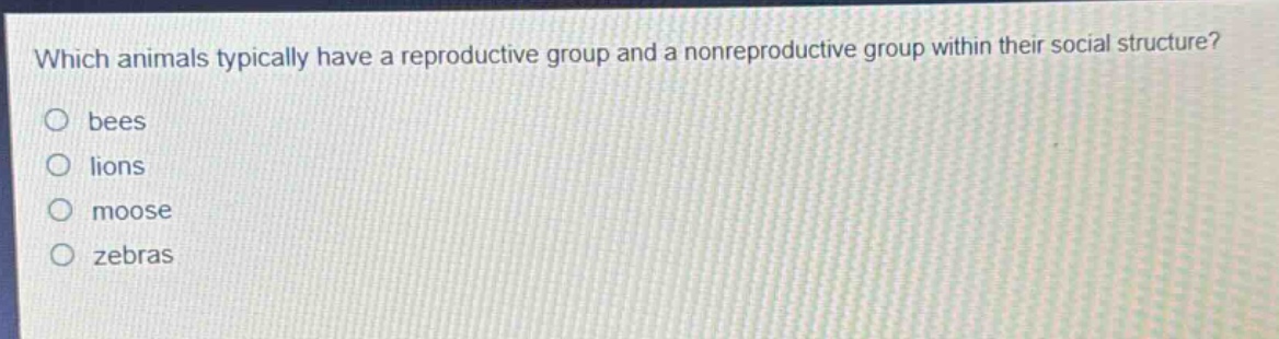 which animals typically have a reproductive group and a nonreproductive group within their social structure?\nbees\nlions\nmoose\nzebras