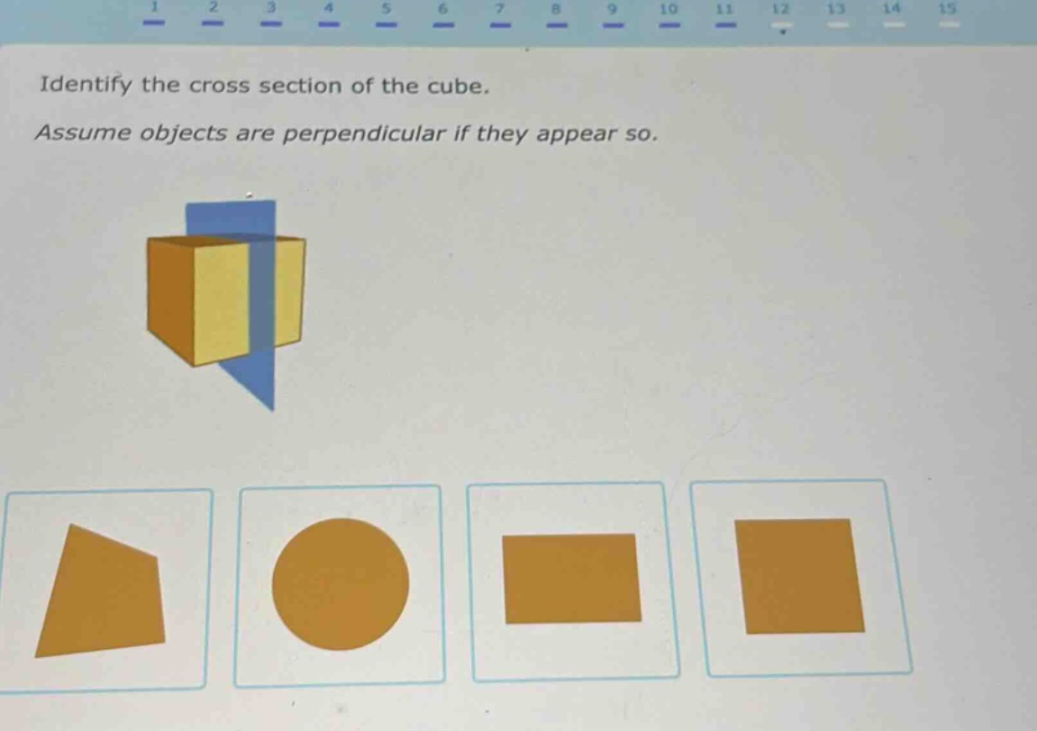 identify the cross - section of the cube. assume objects are perpendicular if they appear so.