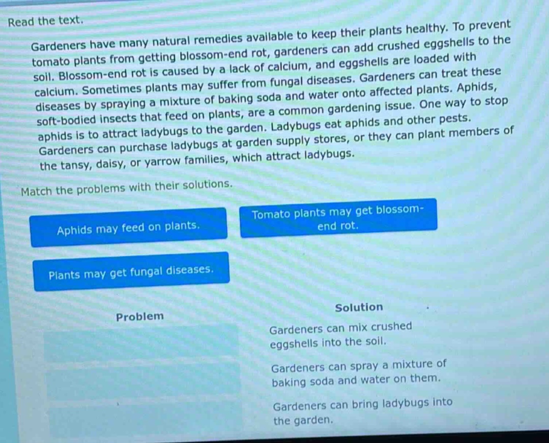 read the text. gardeners have many natural remedies available to keep their plants healthy. to prevent tomato plants from getting blossom - end rot, gardeners can add crushed eggshells to the soil. blossom - end rot is caused by a lack of calcium, and eggshells are loaded with calcium. sometimes plants may suffer from fungal diseases. gardeners can treat these diseases by spraying a mixture of baking soda and water onto affected plants. aphids, soft - bodied insects that feed on plants, are a common gardening issue. one way to stop aphids is to attract ladybugs to the garden. ladybugs eat aphids and other pests. gardeners can purchase ladybugs at garden supply stores, or they can plant members of the tansy, daisy, or yarrow families, which attract ladybugs. match the problems with their solutions. aphids may feed on plants. tomato plants may get blossom - end rot. plants may get fungal diseases. problem solution gardeners can mix crushed eggshells into the soil. gardeners can spray a mixture of baking soda and water on them. gardeners can bring ladybugs into the garden.