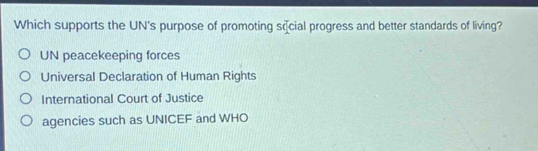 which supports the uns purpose of promoting social progress and better standards of living?\nun peacekeeping forces\nuniversal declaration of human rights\ninternational court of justice\nagencies such as unicef and who