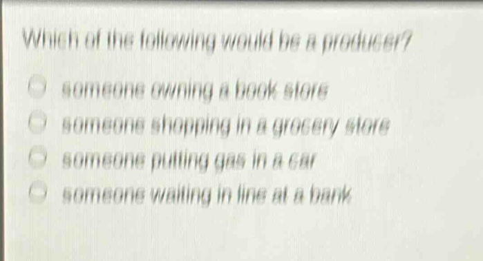 which of the following would be a producer? someone owning a book store someone shopping in a grocery store someone putting gas in a car someone waiting in line at a bank