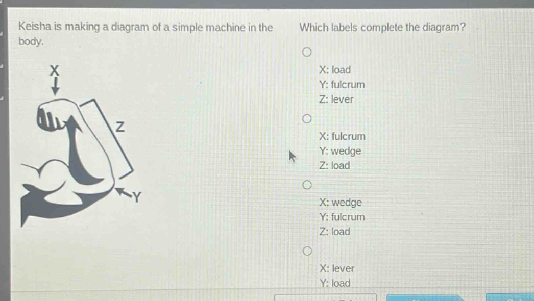 keisha is making a diagram of a simple machine in the body. which labels complete the diagram? x: load y: fulcrum z: lever x: fulcrum y: wedge z: load x: wedge y: fulcrum z: load x: lever y: load