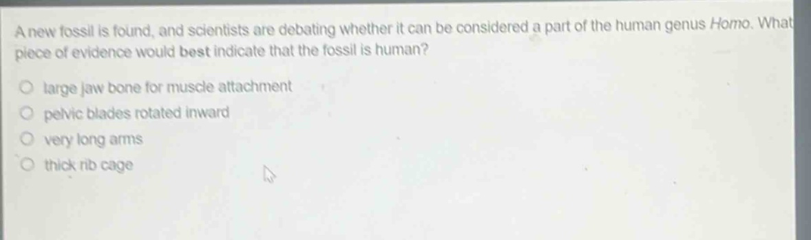 a new fossil is found, and scientists are debating whether it can be considered a part of the human genus homo. what piece of evidence would best indicate that the fossil is human?\no large jaw bone for muscle attachment\no pelvic blades rotated inward\no very long arms\no thick rib cage