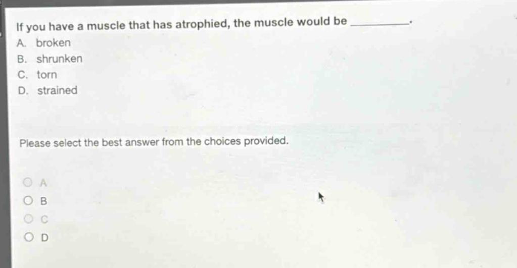 if you have a muscle that has atrophied, the muscle would be __________. a. broken b. shrunken c. torn d. strained please select the best answer from the choices provided.