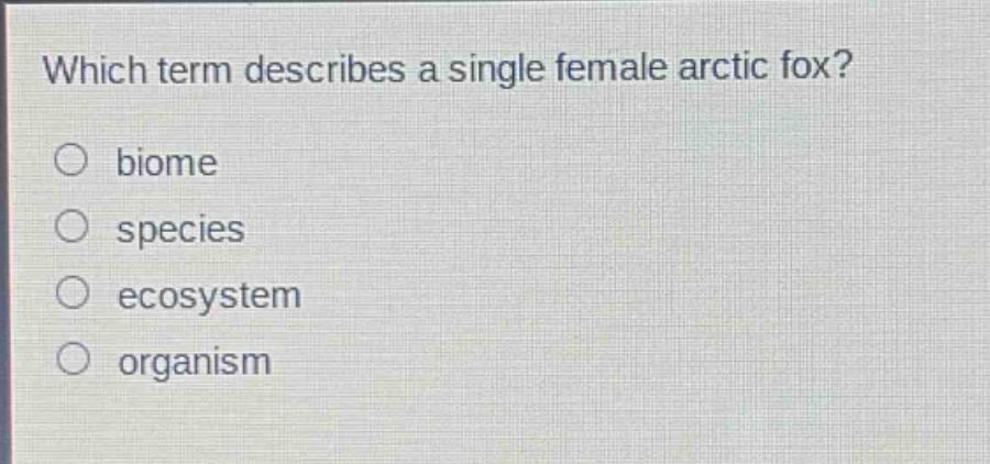 which term describes a single female arctic fox?\no biome\no species\no ecosystem\no organism