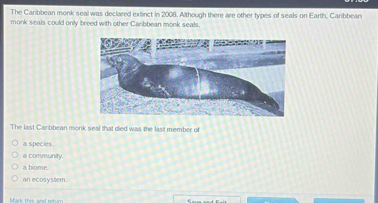 the caribbean monk seal was declared extinct in 2008. although there are other types of seals on earth, caribbean monk seals could only breed with other caribbean monk seals. the last caribbean monk seal that died was the last member of a species. a community. a biome. an ecosystem.