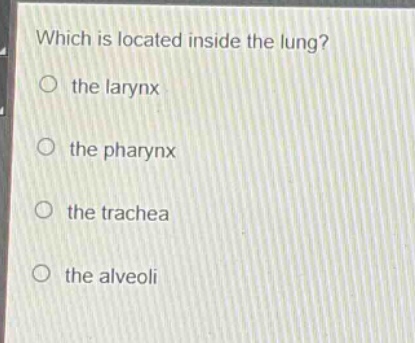 which is located inside the lung?\no the larynx\no the pharynx\no the trachea\no the alveoli