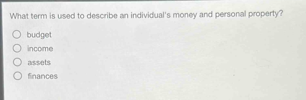 what term is used to describe an individuals money and personal property?\nbudget\nincome\nassets\nfinances