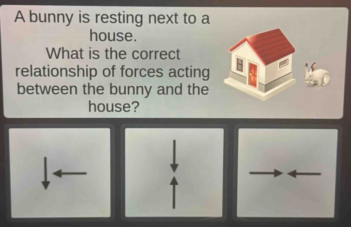 a bunny is resting next to a house. what is the correct relationship of forces acting between the bunny and the house?