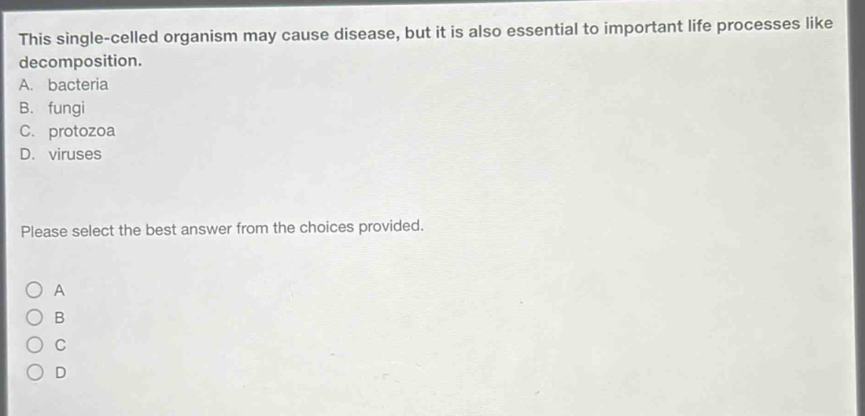 this single - celled organism may cause disease, but it is also essential to important life processes like decomposition. a. bacteria b. fungi c. protozoa d. viruses please select the best answer from the choices provided.