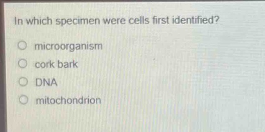 in which specimen were cells first identified?\nmicroorganism\ncork bark\ndna\nmitochondrion