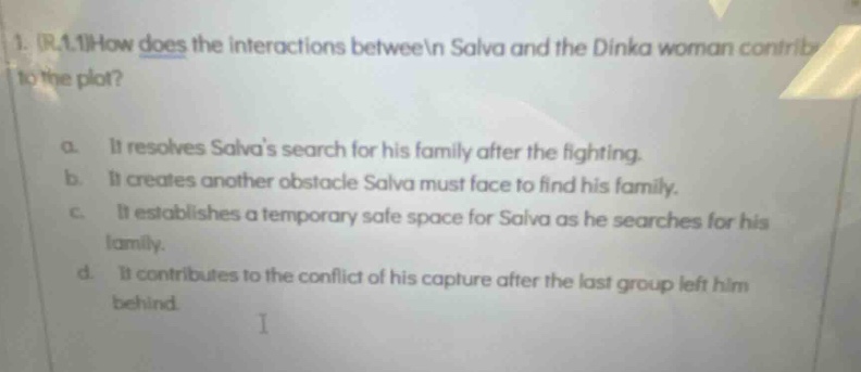 1. r.1.1how does the interactions between salva and the dinka woman contribute to the plot? a. it resolves salvas search for his family after the fighting. b. it creates another obstacle salva must face to find his family. c. it establishes a temporary safe space for salva as he searches for his family. d. it contributes to the conflict of his capture after the last group left him behind.