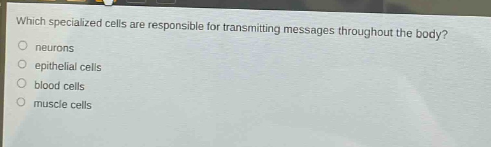 which specialized cells are responsible for transmitting messages throughout the body?\nneurons\n epithelial cells\nblood cells\nmuscle cells