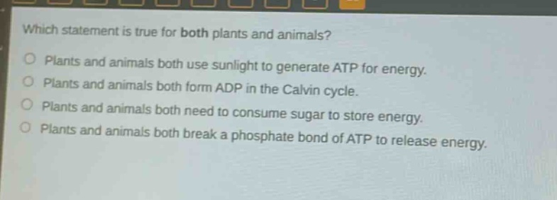 which statement is true for both plants and animals?\nplants and animals both use sunlight to generate atp for energy.\nplants and animals both form adp in the calvin cycle.\nplants and animals both need to consume sugar to store energy.\nplants and animals both break a phosphate bond of atp to release energy.