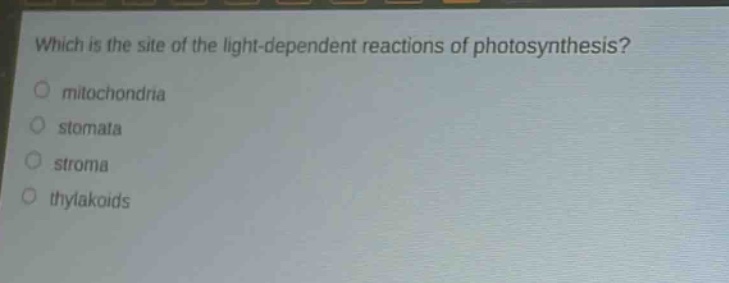 which is the site of the light - dependent reactions of photosynthesis?\nmitochondria\nstomata\nstroma\nthylakoids