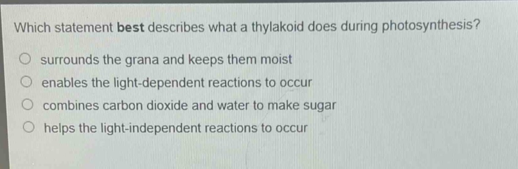 which statement best describes what a thylakoid does during photosynthesis? surrounds the grana and keeps them moist enables the light - dependent reactions to occur combines carbon dioxide and water to make sugar helps the light - independent reactions to occur