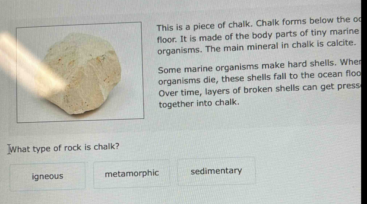 this is a piece of chalk. chalk forms below the ocean floor. it is made of the body parts of tiny marine organisms. the main mineral in chalk is calcite. some marine organisms make hard shells. when organisms die, these shells fall to the ocean floor. over time, layers of broken shells can get pressed together into chalk. what type of rock is chalk? igneous metamorphic sedimentary
