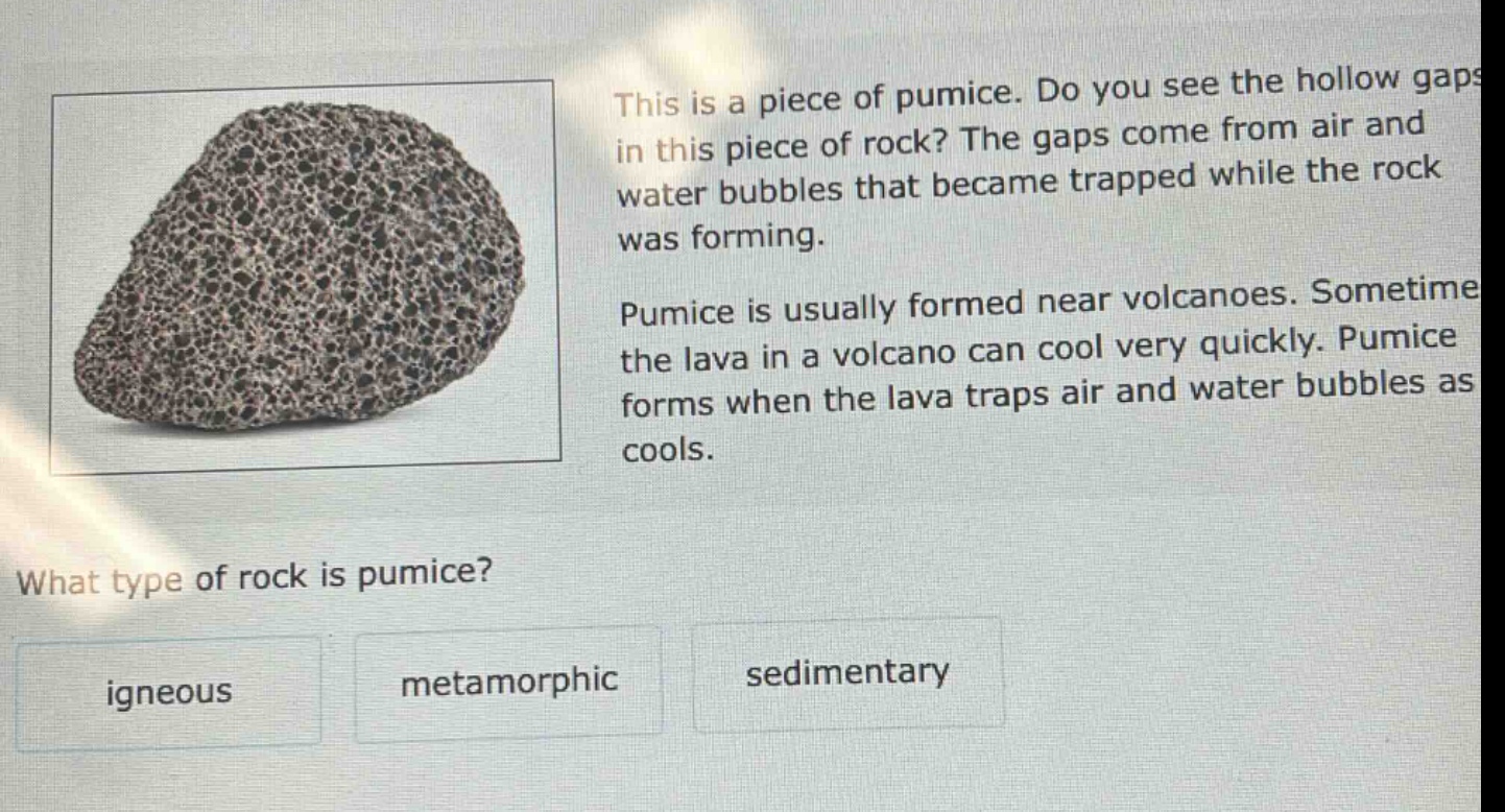 this is a piece of pumice. do you see the hollow gaps in this piece of rock? the gaps come from air and water bubbles that became trapped while the rock was forming. pumice is usually formed near volcanoes. sometime the lava in a volcano can cool very quickly. pumice forms when the lava traps air and water bubbles as cools. what type of rock is pumice? igneous metamorphic sedimentary