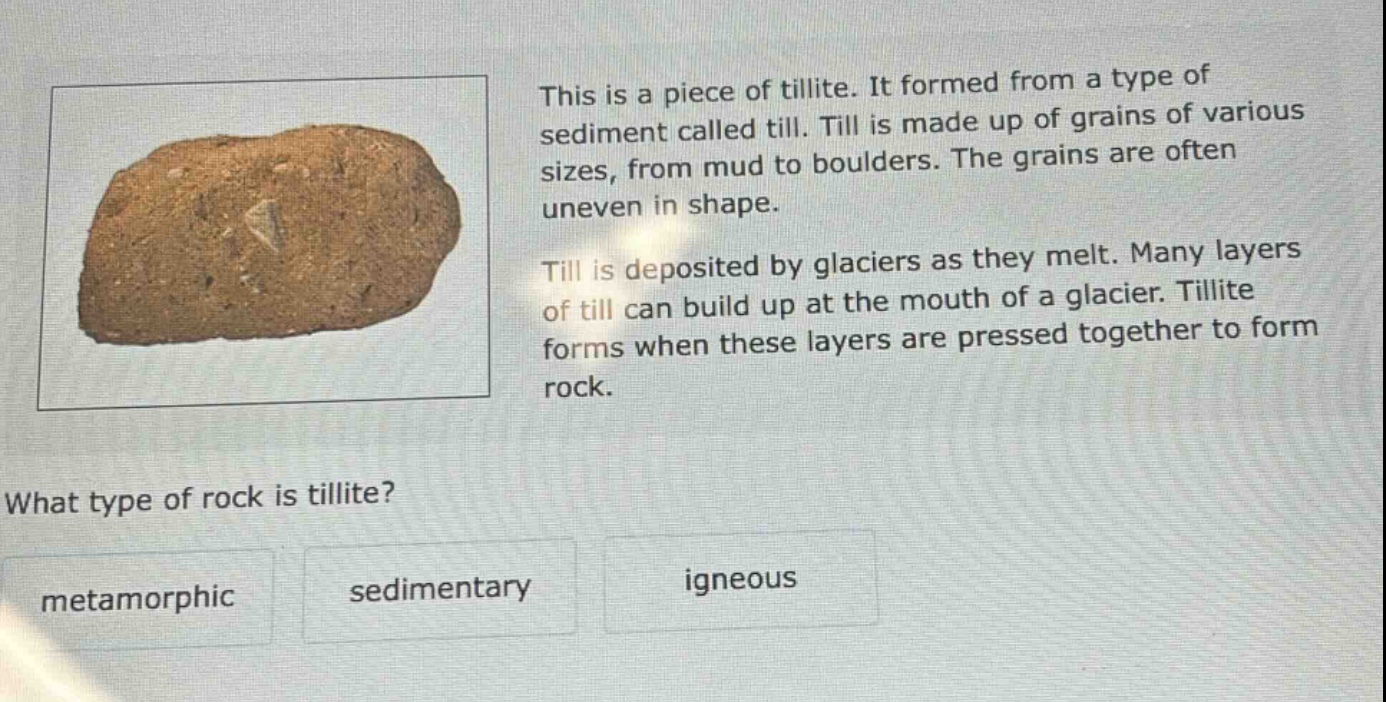 this is a piece of tillite. it formed from a type of sediment called till. till is made up of grains of various sizes, from mud to boulders. the grains are often uneven in shape. till is deposited by glaciers as they melt. many layers of till can build up at the mouth of a glacier. tillite forms when these layers are pressed together to form rock. what type of rock is tillite? metamorphic sedimentary igneous