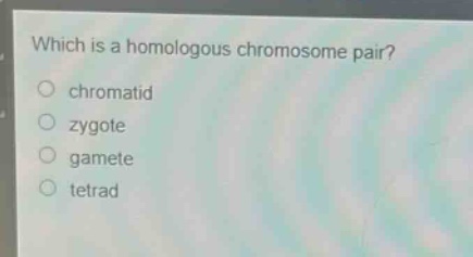 which is a homologous chromosome pair?\nchromatid\nzygote\ngamete\ntetrad