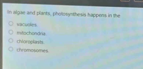 in algae and plants, photosynthesis happens in the\nvacuoles.\nmitochondria.\nchloroplasts.\nchromosomes.