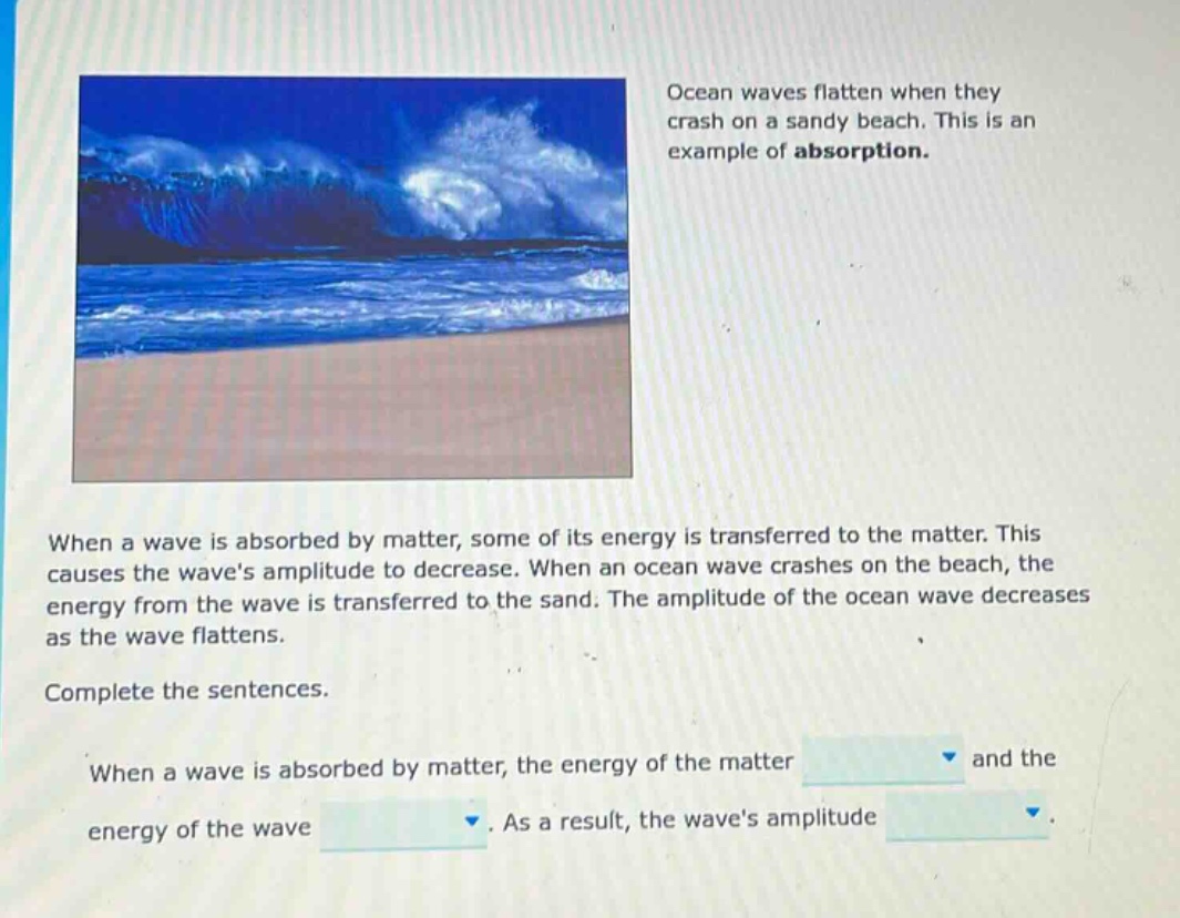 ocean waves flatten when they crash on a sandy beach. this is an example of absorption. when a wave is absorbed by matter, some of its energy is transferred to the matter. this causes the waves amplitude to decrease. when an ocean wave crashes on the beach, the energy from the wave is transferred to the sand. the amplitude of the ocean wave decreases as the wave flattens. complete the sentences. when a wave is absorbed by matter, the energy of the matter and the energy of the wave. as a result, the waves amplitude.