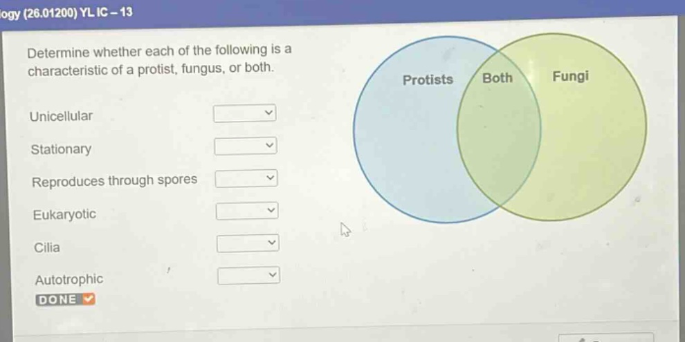 determine whether each of the following is a characteristic of a protist, fungus, or both. unicellular stationary reproduces through spores eukaryotic cilia autotrophic done