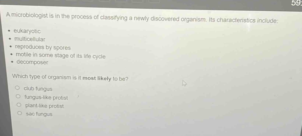 a microbiologist is in the process of classifying a newly discovered organism. its characteristics include: eukaryotic multicellular reproduces by spores motile in some stage of its life cycle decomposer which type of organism is it most likely to be? club fungus fungus - like protist plant - like protist sac fungus