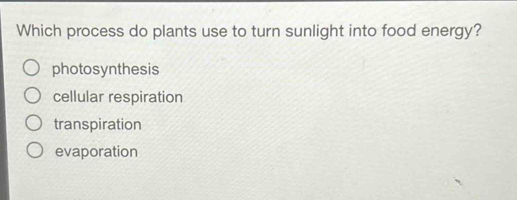 which process do plants use to turn sunlight into food energy?\nphotosynthesis\ncellular respiration\ntranspiration\nevaporation