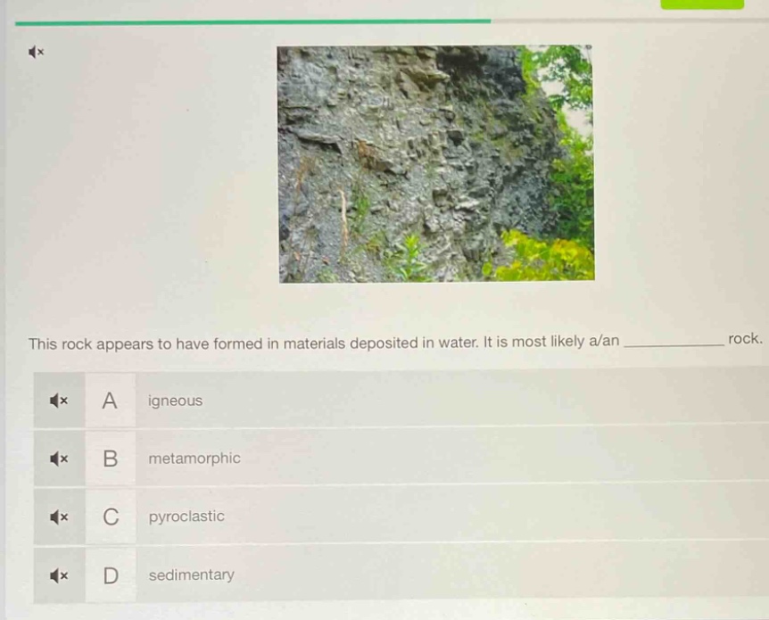 this rock appears to have formed in materials deposited in water. it is most likely a/an ____________ rock. a igneous b metamorphic c pyroclastic d sedimentary