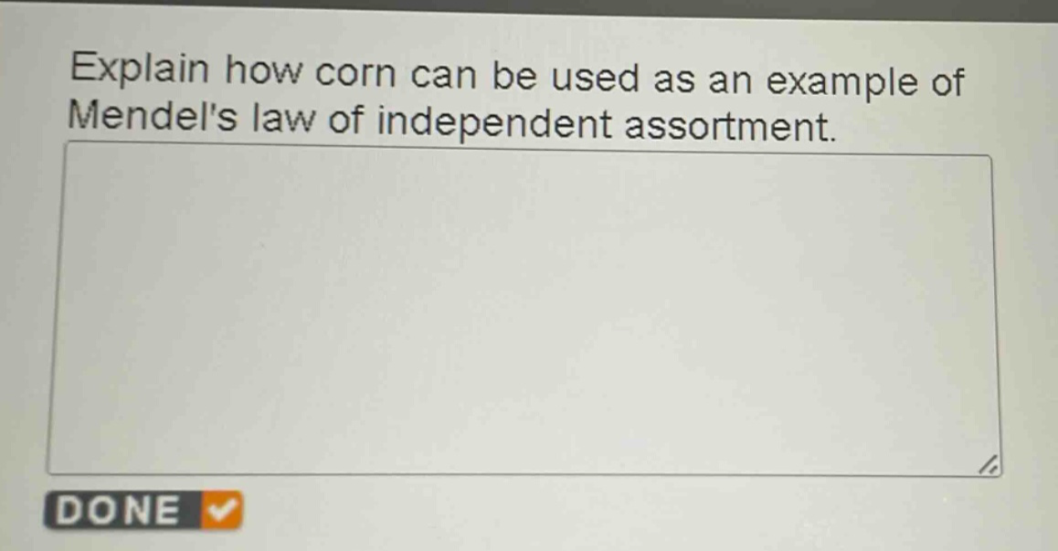 explain how corn can be used as an example of mendels law of independent assortment.