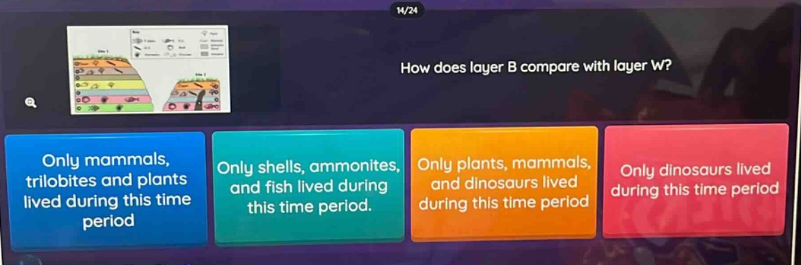 how does layer b compare with layer w? only mammals, trilobites and plants lived during this time period only shells, ammonites, and fish lived during this time period. only plants, mammals, and dinosaurs lived during this time period only dinosaurs lived during this time period