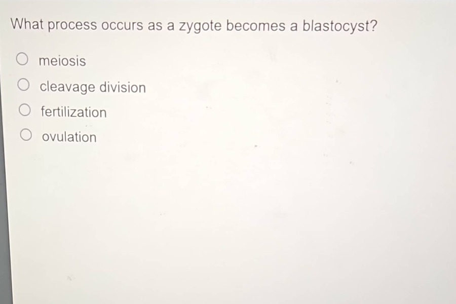 what process occurs as a zygote becomes a blastocyst?\nmeiosis\ncleavage division\nfertilization\novulation