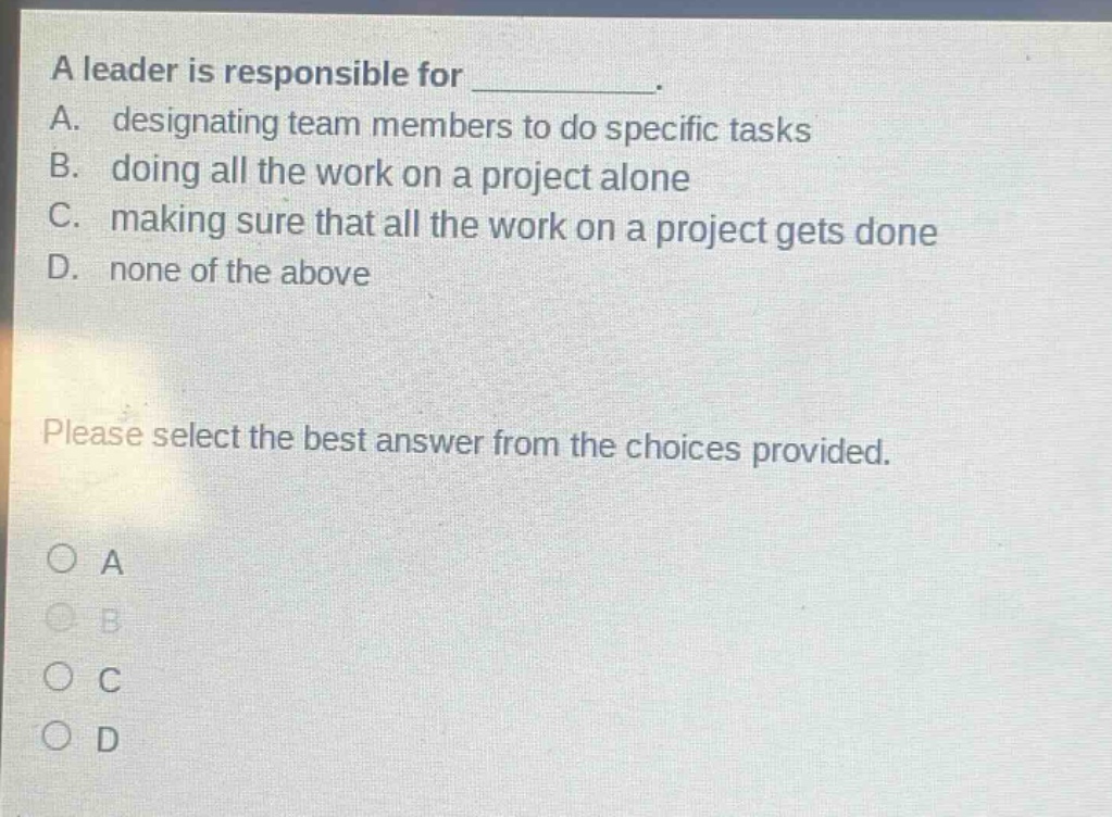 a leader is responsible for __________. a. designating team members to do specific tasks b. doing all the work on a project alone c. making sure that all the work on a project gets done d. none of the above please select the best answer from the choices provided.
