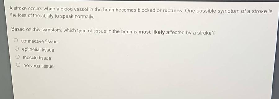 a stroke occurs when a blood vessel in the brain becomes blocked or ruptures. one possible symptom of a stroke is the loss of the ability to speak normally. based on this symptom, which type of tissue in the brain is most likely affected by a stroke? connective tissue epithelial tissue muscle tissue nervous tissue