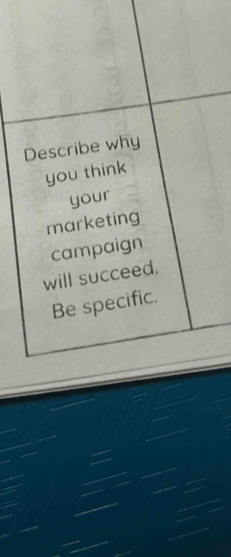 describe why you think your marketing campaign will succeed. be specific.