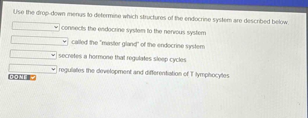 use the drop - down menus to determine which structures of the endocrine system are described below. connects the endocrine system to the nervous system called the \master gland\ of the endocrine system secretes a hormone that regulates sleep cycles regulates the development and differentiation of t lymphocytes done