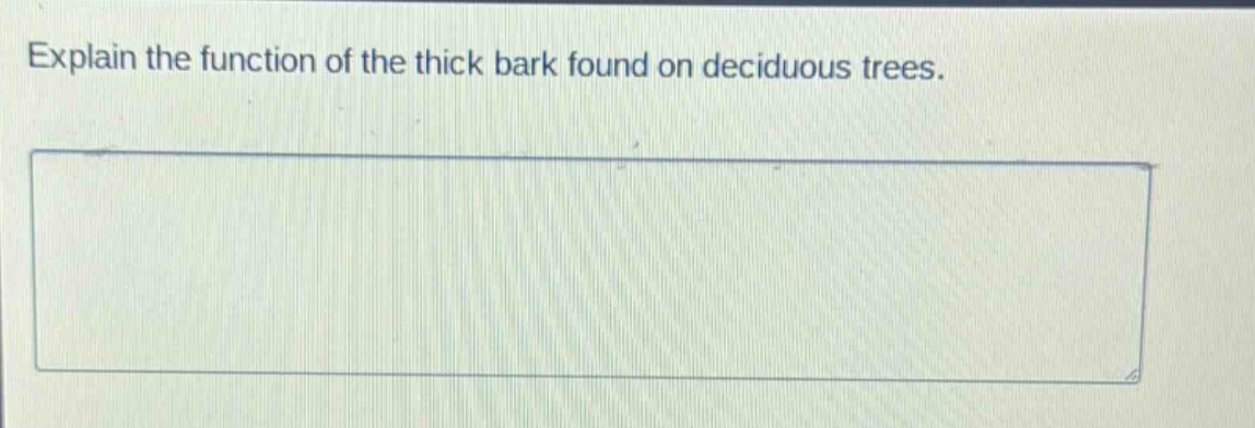 explain the function of the thick bark found on deciduous trees.