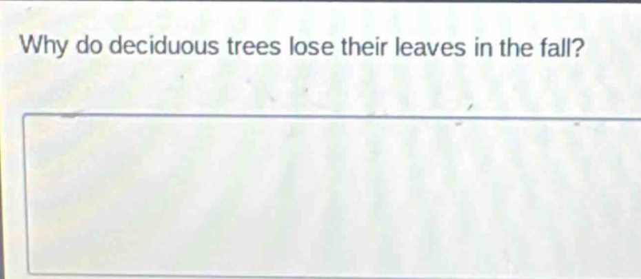 why do deciduous trees lose their leaves in the fall?