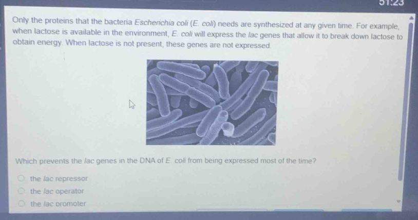 only the proteins that the bacteria escherichia coli (e. coli) needs are synthesized at any given time. for example, when lactose is available in the environment, e. coli will express the lac genes that allow it to break down lactose to obtain energy. when lactose is not present, these genes are not expressed. which prevents the lac genes in the dna of e. coli from being expressed most of the time? the lac repressor the lac operator the lac promoter