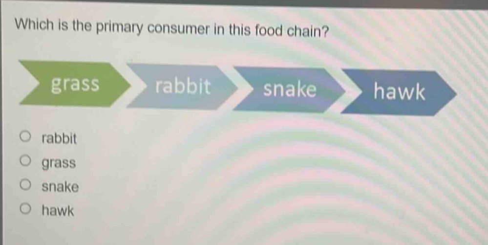which is the primary consumer in this food chain? grass rabbit snake hawk rabbit grass snake hawk