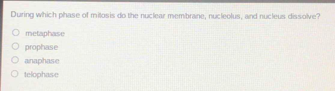 during which phase of mitosis do the nuclear membrane, nucleolus, and nucleus dissolve?\no metaphase\no prophase\no anaphase\no telophase