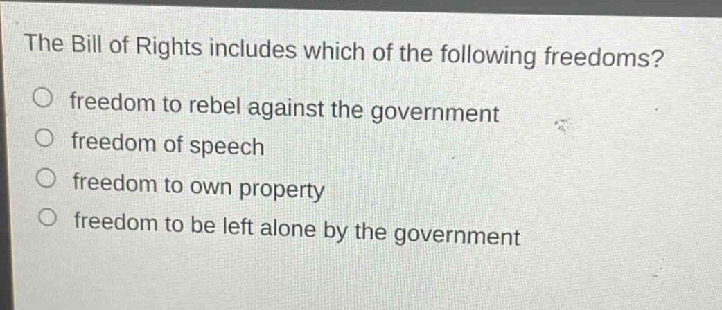 the bill of rights includes which of the following freedoms?\nfreedom to rebel against the government\nfreedom of speech\nfreedom to own property\nfreedom to be left alone by the government
