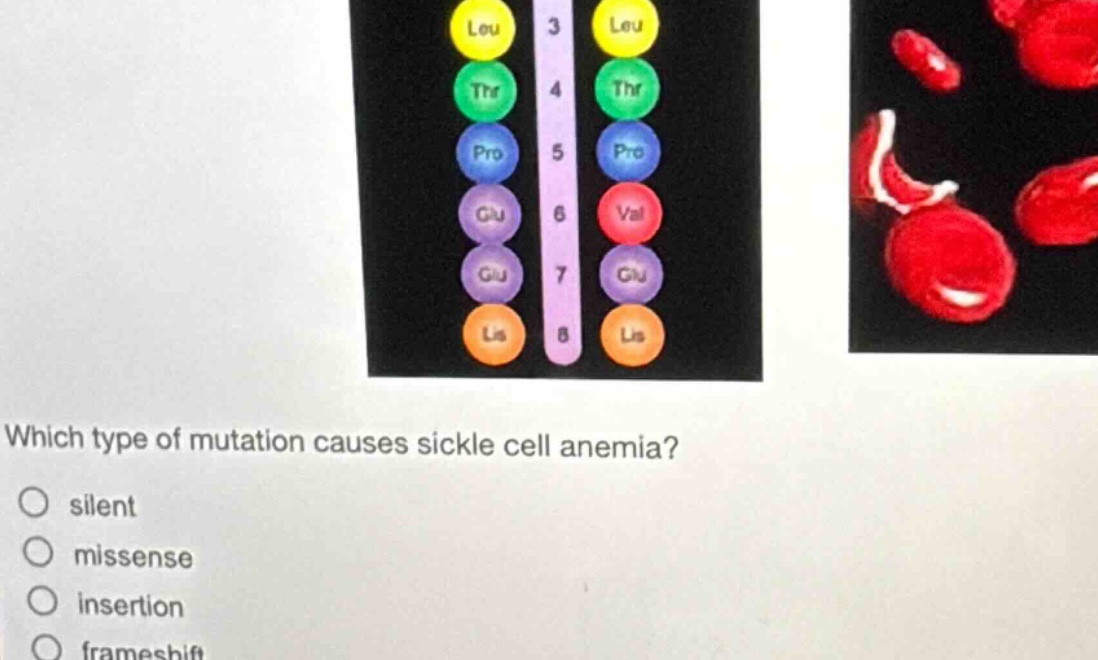 which type of mutation causes sickle cell anemia?\no silent\no missense\no insertion\no frameshift