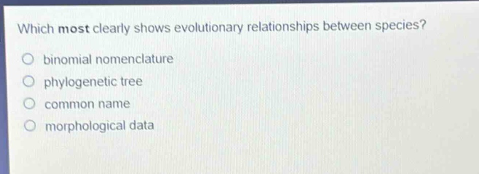 which most clearly shows evolutionary relationships between species?\no binomial nomenclature\no phylogenetic tree\no common name\no morphological data