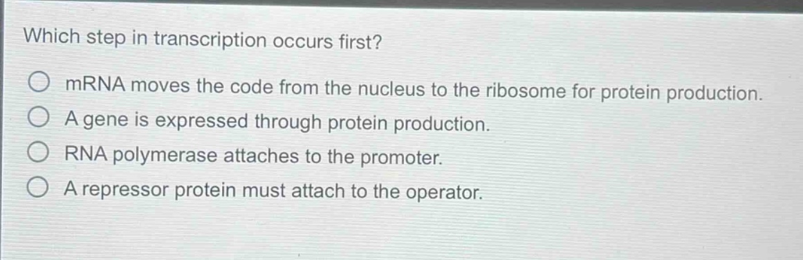 which step in transcription occurs first?\no mrna moves the code from the nucleus to the ribosome for protein production.\no a gene is expressed through protein production.\no rna polymerase attaches to the promoter.\no a repressor protein must attach to the operator.