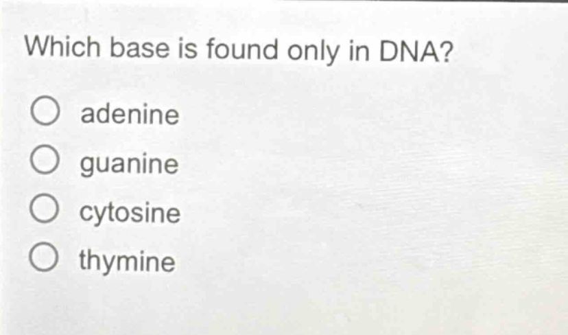 which base is found only in dna?\nadenine\nguanine\ncytosine\nthymine